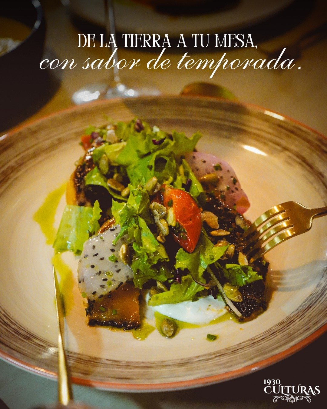 Culturas 1930 Restaurant(14)